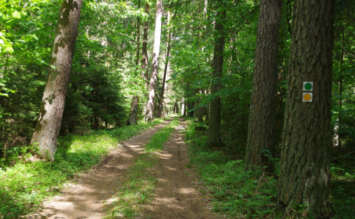 49. Protėvių takas.jpg